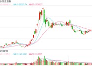 快讯：恒指高开0.93% 科指涨1.48%汽车股大幅高开