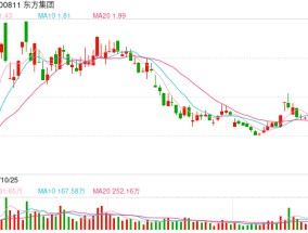 东方集团涉嫌重大财务造假，连开三年“绿灯”的大华所将面临什么？