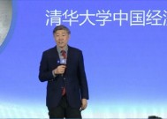 李稻葵：储蓄是经济增长的原动力，我国国民储蓄率达到40%全球最高