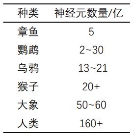 宇树CEO 对“具身智能”和“人形机器人”未来的设想