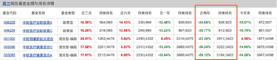 盘点2024百亿偏股混合型基金业绩：中欧医疗健康A今年跌14.28%暂居跌幅榜首 葛兰称仍旧看好创新药械及产业链