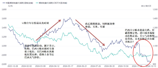 新湖农产2025年（豆类）年报-基本面再度主导市场，后期干扰项不容忽视